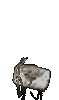 MAIL